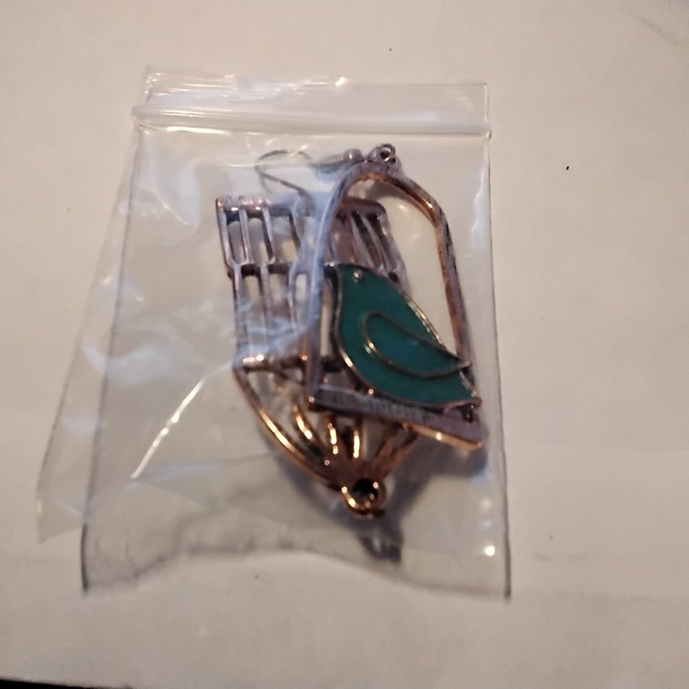 COPY - NEW Asymmetric Blue Birdcage Bird Cage Antique Bronze Dangle Earring FEA… - Picture 8 of 8